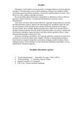 Elektrinės Lietuvoje 8 puslapis