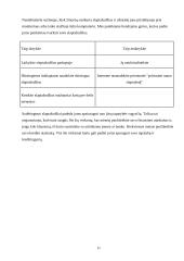 Elektroninės finansinės paslaugos Lietuvoje 11 puslapis