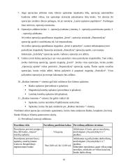 Elektroninės finansinės paslaugos Lietuvoje 19 puslapis