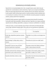 Elektroninės finansinės paslaugos Lietuvoje 10 puslapis