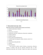 Elektroninės komercijos aplinkos analizė įstojus į Europos Sąjungą (ES) 11 puslapis