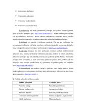 Elektroninės komercijos aplinkos analizė įstojus į Europos Sąjungą (ES) 15 puslapis