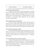 Elektroninės komercijos aplinkos analizė įstojus į Europos Sąjungą (ES) 16 puslapis