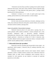 Elektroninės komercijos aplinkos analizė įstojus į Europos Sąjungą (ES) 17 puslapis