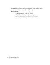 Elektroninės komercijos aplinkos analizė įstojus į Europos Sąjungą (ES) 3 puslapis