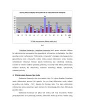 Elektroninės komercijos aplinkos analizė įstojus į Europos Sąjungą (ES) 8 puslapis