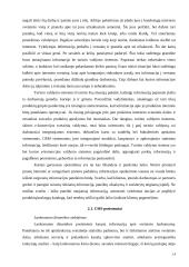 Elektroninio verslo taktika ir perspektyvos 14 puslapis