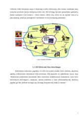 Elektroninio verslo taktika ir perspektyvos 7 puslapis