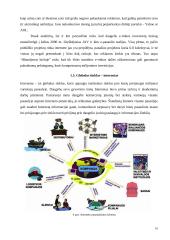 Elektroninio verslo taktika ir perspektyvos 10 puslapis