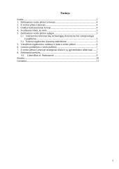 Elektroninis verslas Lietuvoje 2 puslapis