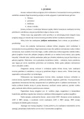 Elektros variklis. Krano mechanizmų valdymas 2 puslapis