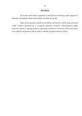 Elektros variklis. Krano mechanizmų valdymas 20 puslapis