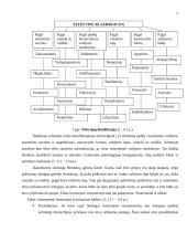 Elito vaidmuo apibrėžiant problemas 5 puslapis