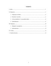 Emigracijos ir imigracijos problema Lietuvoje 2 puslapis