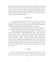 Emigracijos ir imigracijos problema Lietuvoje 13 puslapis