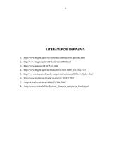 Emigracijos problema Lietuvoje 7 puslapis