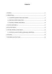 Energetikos sektoriaus analizė