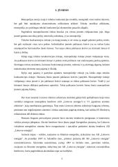 Energetikos sektoriaus analizė 2 puslapis