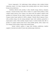 Energetikos sektoriaus analizė 11 puslapis