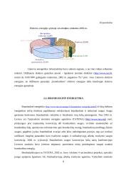 Energetikos sektoriaus analizė 7 puslapis