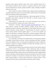 Energetikos sektoriaus analizė 8 puslapis