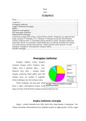 Energijos šaltiniai 2 puslapis