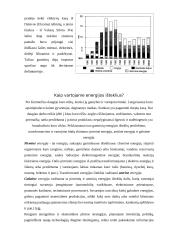 Energijos šaltiniai 11 puslapis