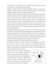 Energijos šaltiniai 6 puslapis