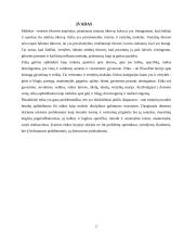 Etikos raidos kryptys, etinės teorijos 2 puslapis