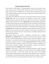 Etikos raidos kryptys, etinės teorijos 3 puslapis