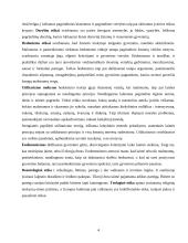 Etikos raidos kryptys, etinės teorijos 4 puslapis