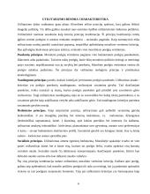 Etikos raidos kryptys, etinės teorijos 6 puslapis