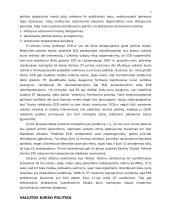 Politika euro kurso atžvilgiu 2 puslapis