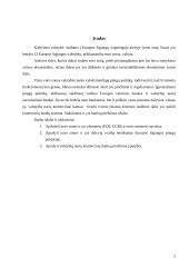 Euro zonos komercinių bankų priežiūros ir reguliavimo ypatybės 2 puslapis