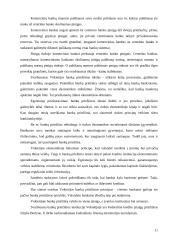 Euro zonos komercinių bankų priežiūros ir reguliavimo ypatybės 11 puslapis