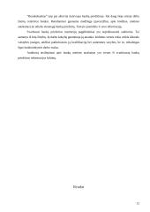 Euro zonos komercinių bankų priežiūros ir reguliavimo ypatybės 12 puslapis