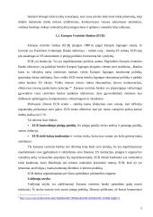 Euro zonos komercinių bankų priežiūros ir reguliavimo ypatybės 5 puslapis