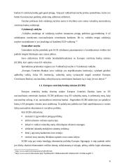 Euro zonos komercinių bankų priežiūros ir reguliavimo ypatybės 6 puslapis