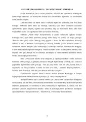 Eurokomisarė:  Dalia Grybauskaitė 9 puslapis