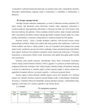 Europos idėja 11 puslapis