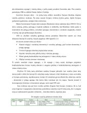 Europos idėja 13 puslapis