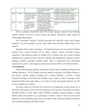 Europos idėja 14 puslapis