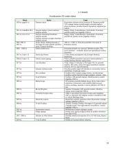 Europos idėja 16 puslapis