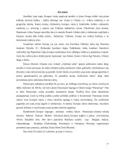 Europos idėja 17 puslapis