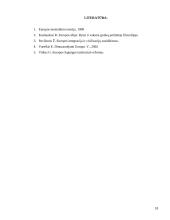 Europos idėja 18 puslapis