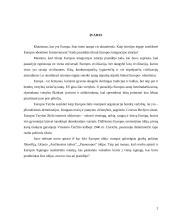 Europos idėja 2 puslapis