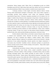 Europos idėja 5 puslapis