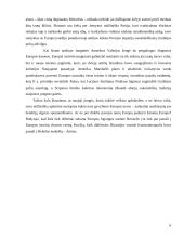 Europos idėja 6 puslapis
