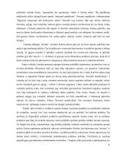 Europos idėja 8 puslapis