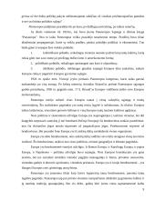 Europos idėja 9 puslapis